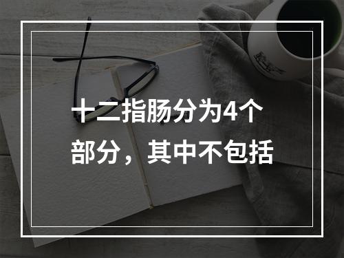 十二指肠分为4个部分，其中不包括