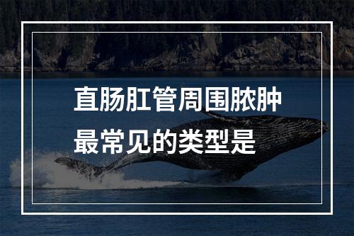 直肠肛管周围脓肿最常见的类型是