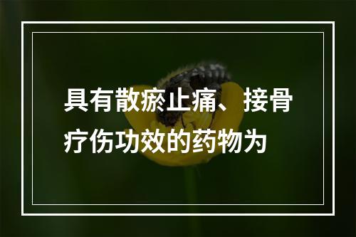 具有散瘀止痛、接骨疗伤功效的药物为