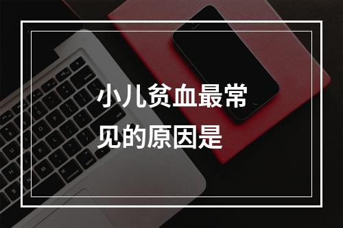 小儿贫血最常见的原因是