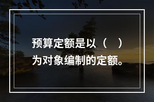 预算定额是以（　）为对象编制的定额。