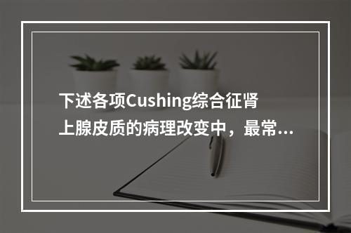 下述各项Cushing综合征肾上腺皮质的病理改变中，最常见者