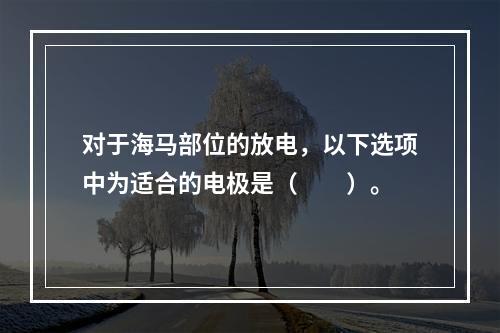 对于海马部位的放电，以下选项中为适合的电极是（　　）。