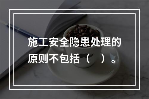 施工安全隐患处理的原则不包括（　）。