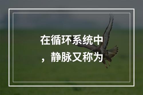 在循环系统中，静脉又称为