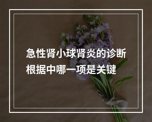 急性肾小球肾炎的诊断根据中哪一项是关键