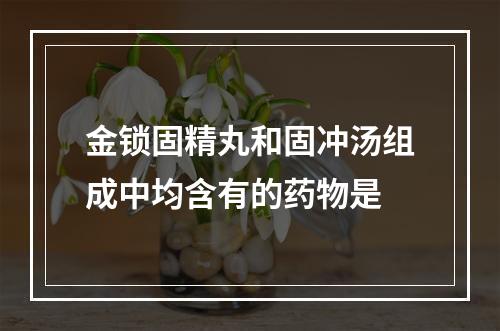 金锁固精丸和固冲汤组成中均含有的药物是