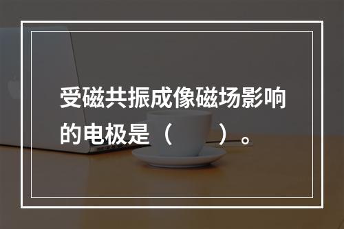 受磁共振成像磁场影响的电极是（　　）。