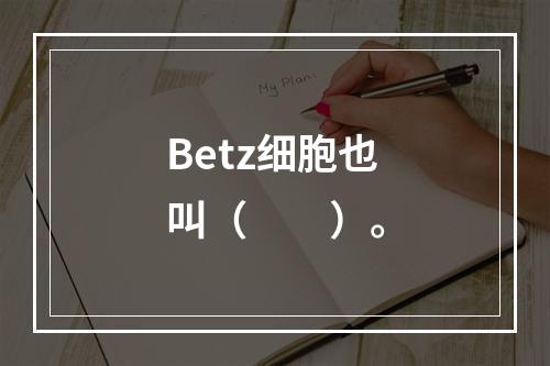 Betz细胞也叫（　　）。