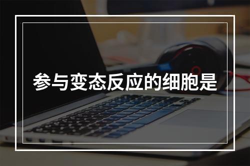 参与变态反应的细胞是