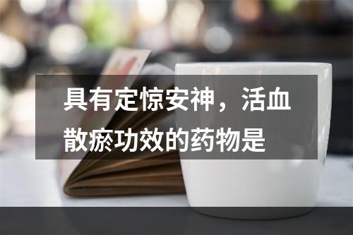 具有定惊安神，活血散瘀功效的药物是