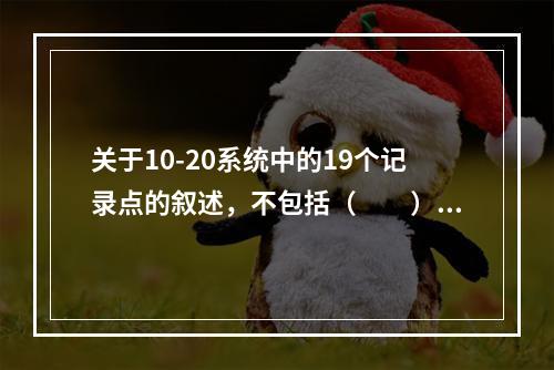 关于10-20系统中的19个记录点的叙述，不包括（　　）。