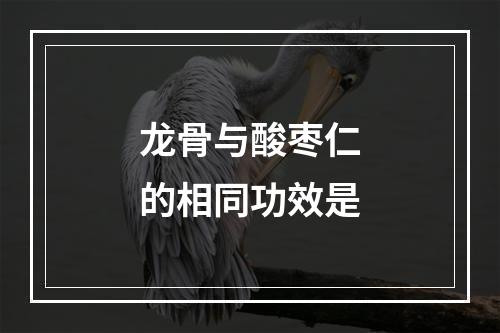 龙骨与酸枣仁的相同功效是