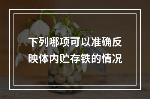 下列哪项可以准确反映体内贮存铁的情况