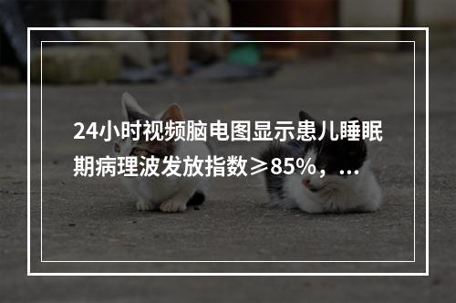 24小时视频脑电图显示患儿睡眠期病理波发放指数≥85%，下列