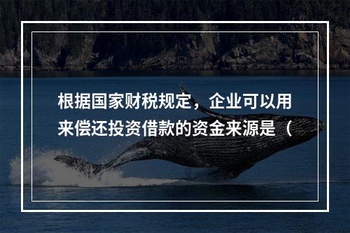 根据国家财税规定，企业可以用来偿还投资借款的资金来源是（