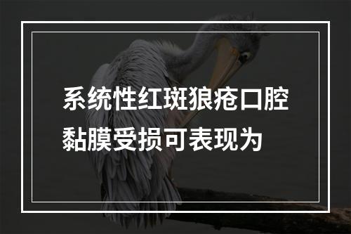 系统性红斑狼疮口腔黏膜受损可表现为