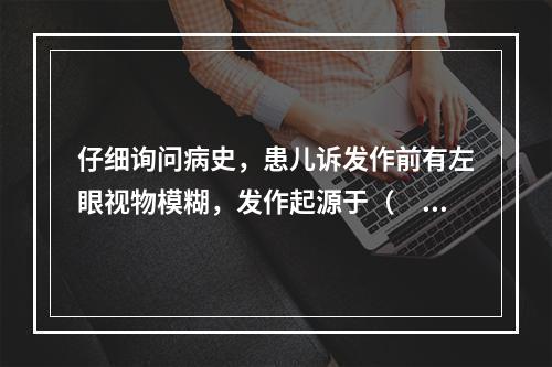 仔细询问病史，患儿诉发作前有左眼视物模糊，发作起源于（　　）