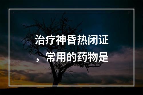 治疗神昏热闭证，常用的药物是