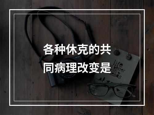 各种休克的共同病理改变是