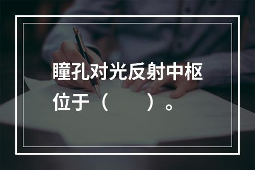 瞳孔对光反射中枢位于（　　）。