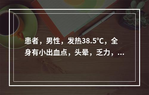 患者，男性，发热38.5℃，全身有小出血点，头晕，乏力，经医