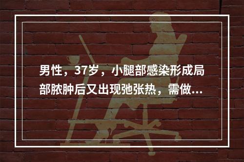 男性，37岁，小腿部感染形成局部脓肿后又出现弛张热，需做血培