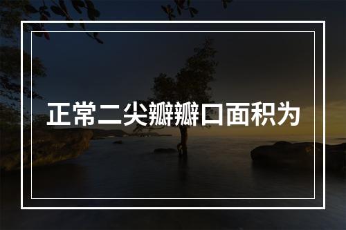 正常二尖瓣瓣口面积为