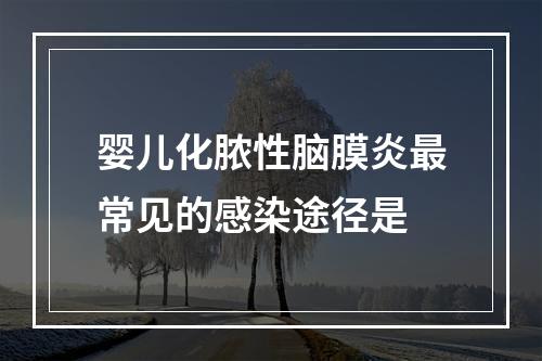 婴儿化脓性脑膜炎最常见的感染途径是