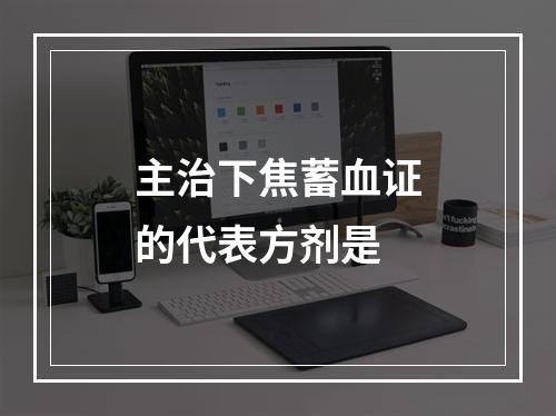 主治下焦蓄血证的代表方剂是