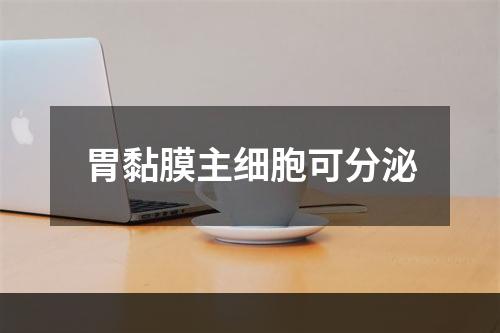 胃黏膜主细胞可分泌