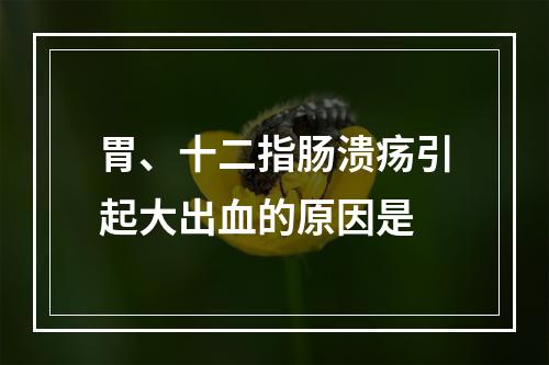 胃、十二指肠溃疡引起大出血的原因是