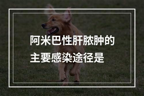 阿米巴性肝脓肿的主要感染途径是