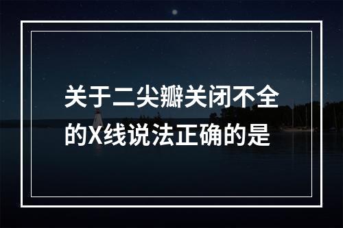 关于二尖瓣关闭不全的X线说法正确的是