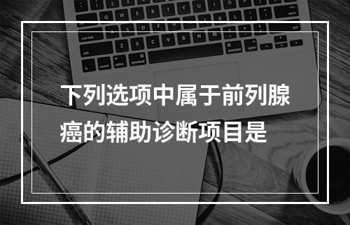 下列选项中属于前列腺癌的辅助诊断项目是