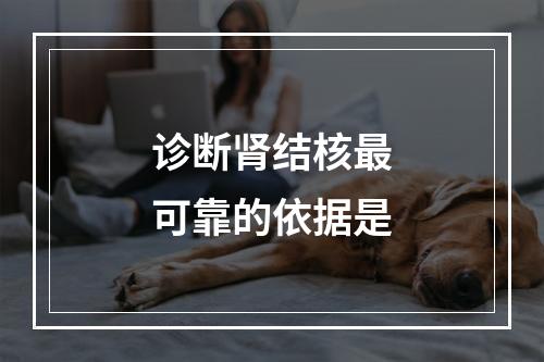 诊断肾结核最可靠的依据是