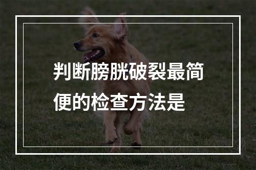 判断膀胱破裂最简便的检查方法是