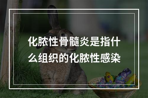 化脓性骨髓炎是指什么组织的化脓性感染