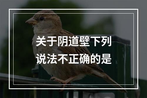 关于阴道壁下列说法不正确的是