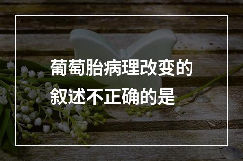 葡萄胎病理改变的叙述不正确的是