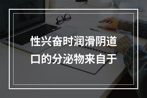 性兴奋时润滑阴道口的分泌物来自于