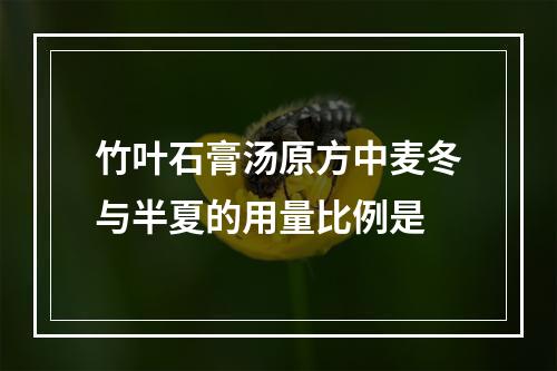 竹叶石膏汤原方中麦冬与半夏的用量比例是