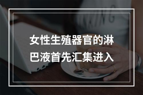 女性生殖器官的淋巴液首先汇集进入