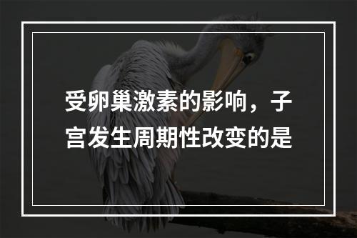 受卵巢激素的影响，子宫发生周期性改变的是