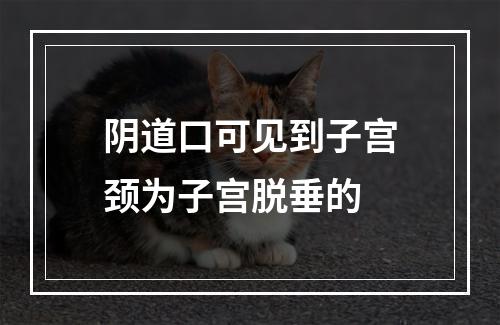 阴道口可见到子宫颈为子宫脱垂的