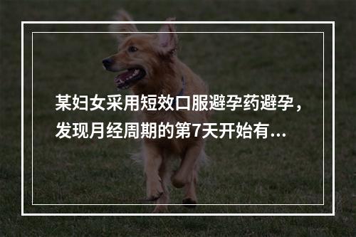 某妇女采用短效口服避孕药避孕，发现月经周期的第7天开始有不规