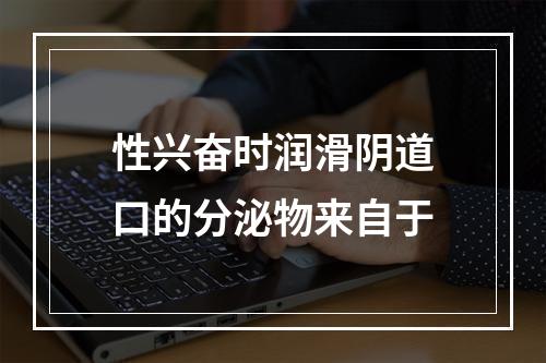 性兴奋时润滑阴道口的分泌物来自于