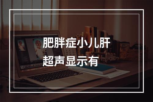 肥胖症小儿肝超声显示有