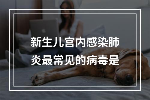 新生儿宫内感染肺炎最常见的病毒是