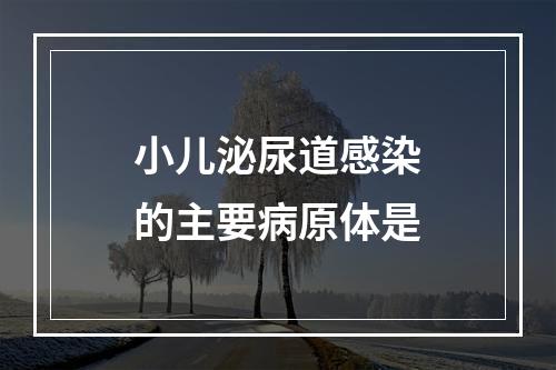 小儿泌尿道感染的主要病原体是